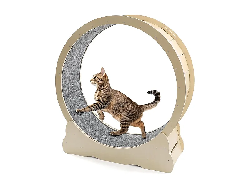 YODOLLA Roue d'Exercice pour Chat 110cm, Roue d'exercice silencieuse pour chats d'intérieur pour santé & divertissement, Beige