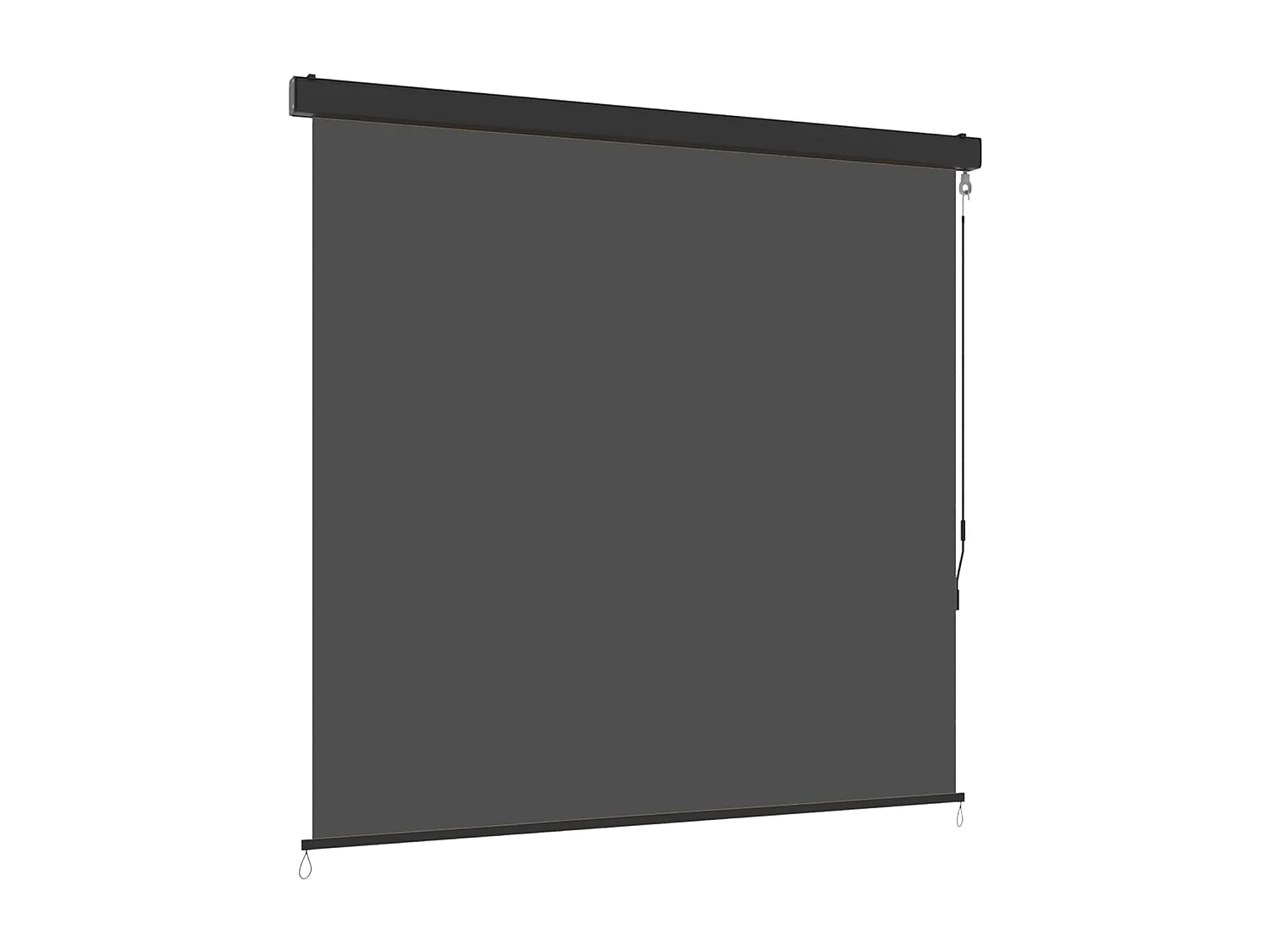 YODOLLA Store vertical rétractable avec coffre, Occultant extérieur fenêtre, Auvent 160x250cm, Pour balcon, Terrasse, Jardin, Gris foncé