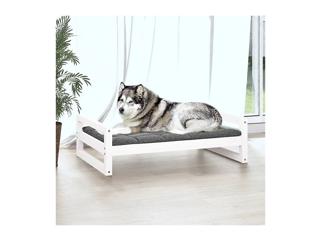 Harelbeke  Lit pour cen Blanc 105,5x75,5x28 cm Bois de pin solide