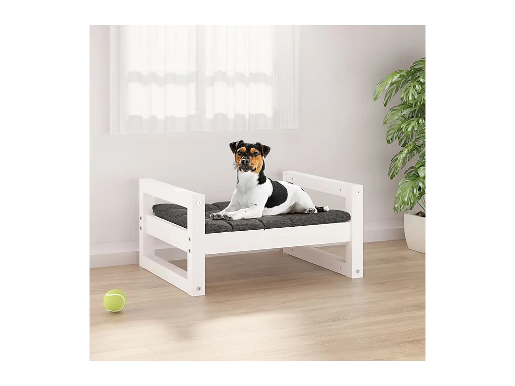 Harelbeke  Lit pour cen Blanc 55,5x45,5x28 cm Bois de pin solide