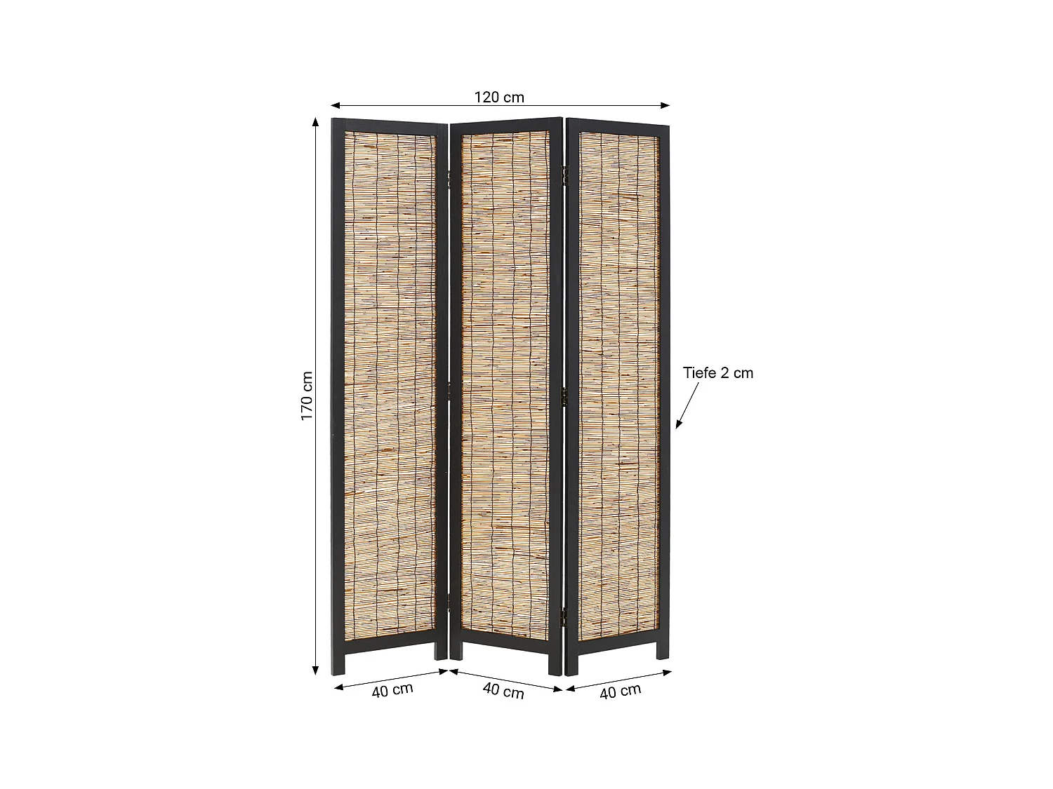 Paravent 170x120x2 cm Noir Saule