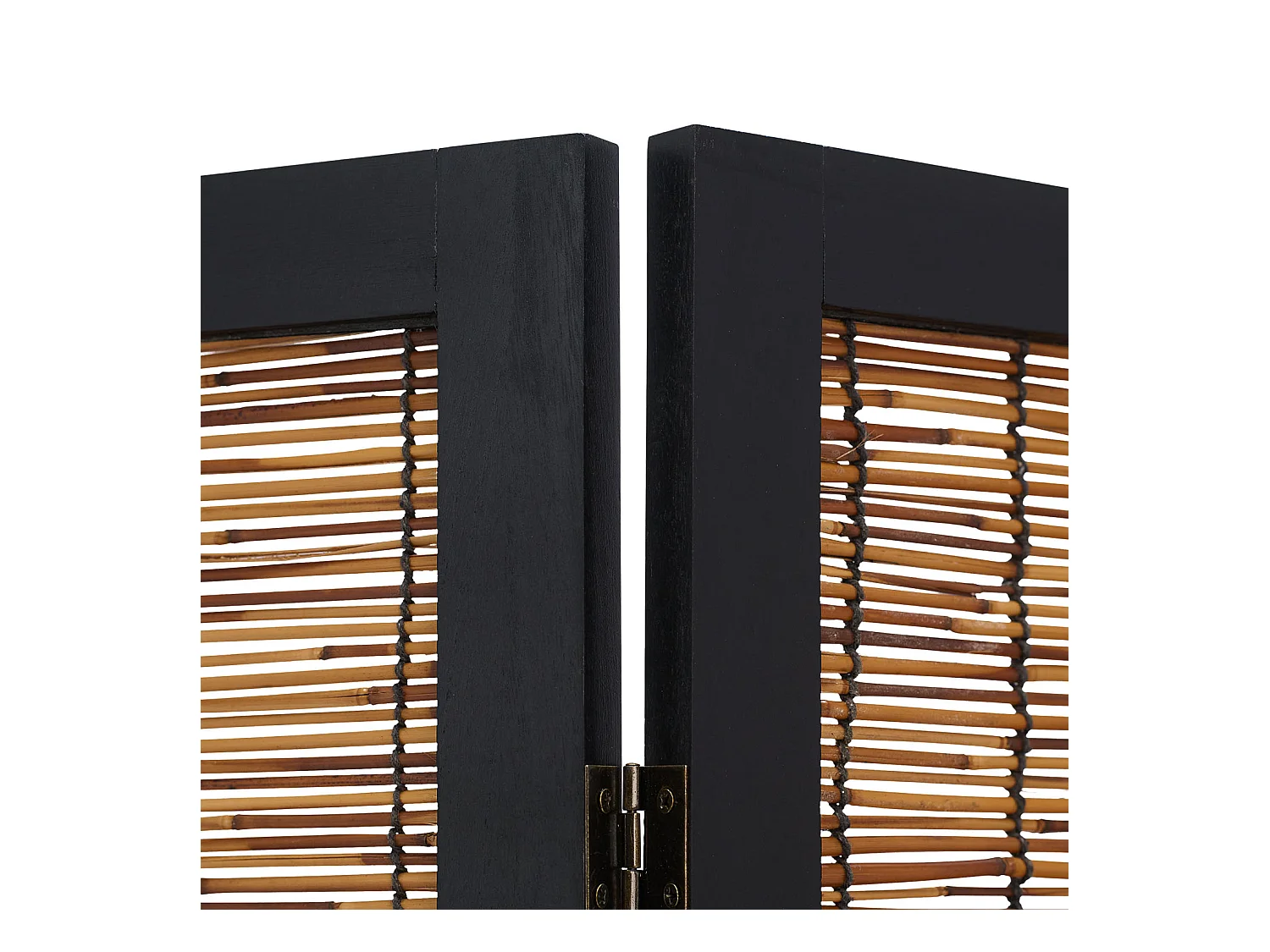 Paravent 170x120x2 cm Noir Saule