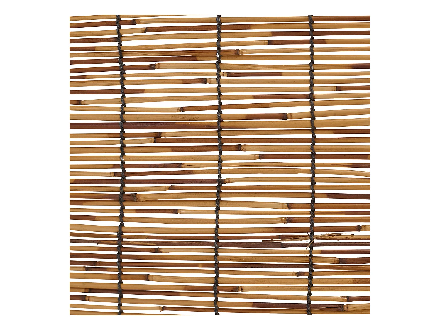 Paravent 170x120x2 cm Noir Saule