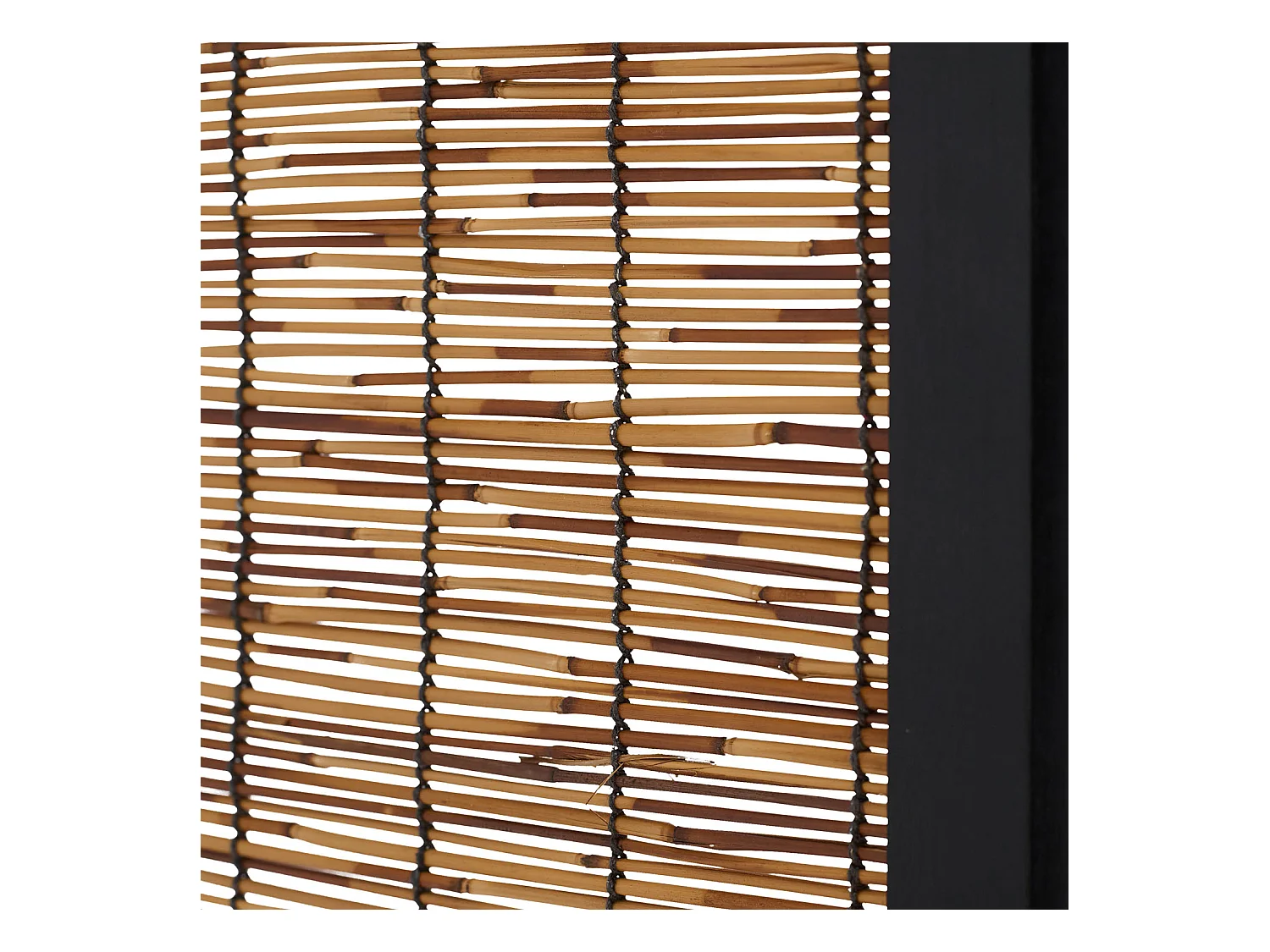 Paravent 170x120x2 cm Noir Saule