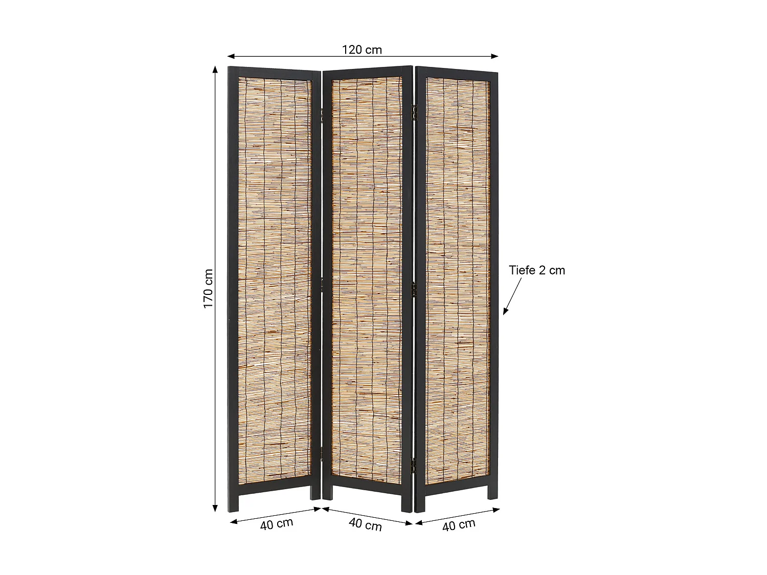 Kamerscheider 170x120x2 cm Zwarte Wilg