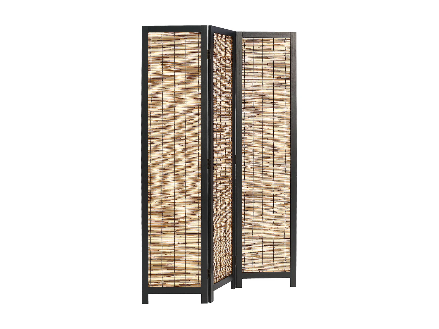 Kamerscheider 170x120x2 cm Zwarte Wilg