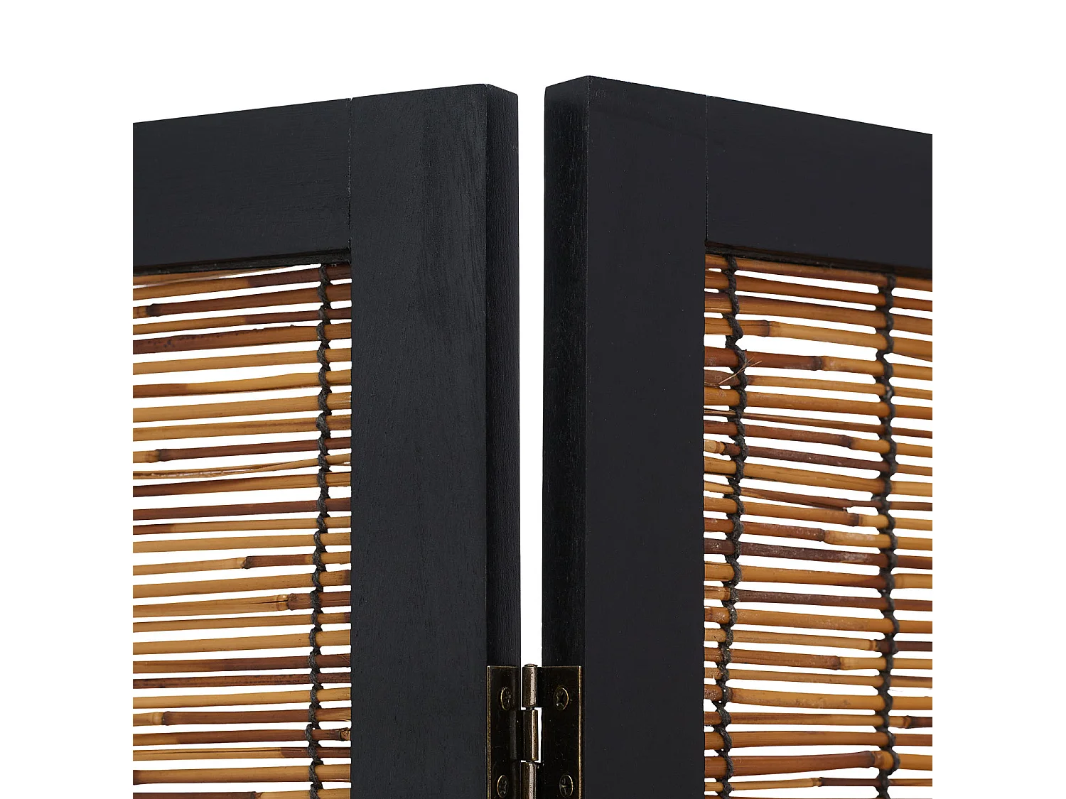 Kamerscheider 170x120x2 cm Zwarte Wilg