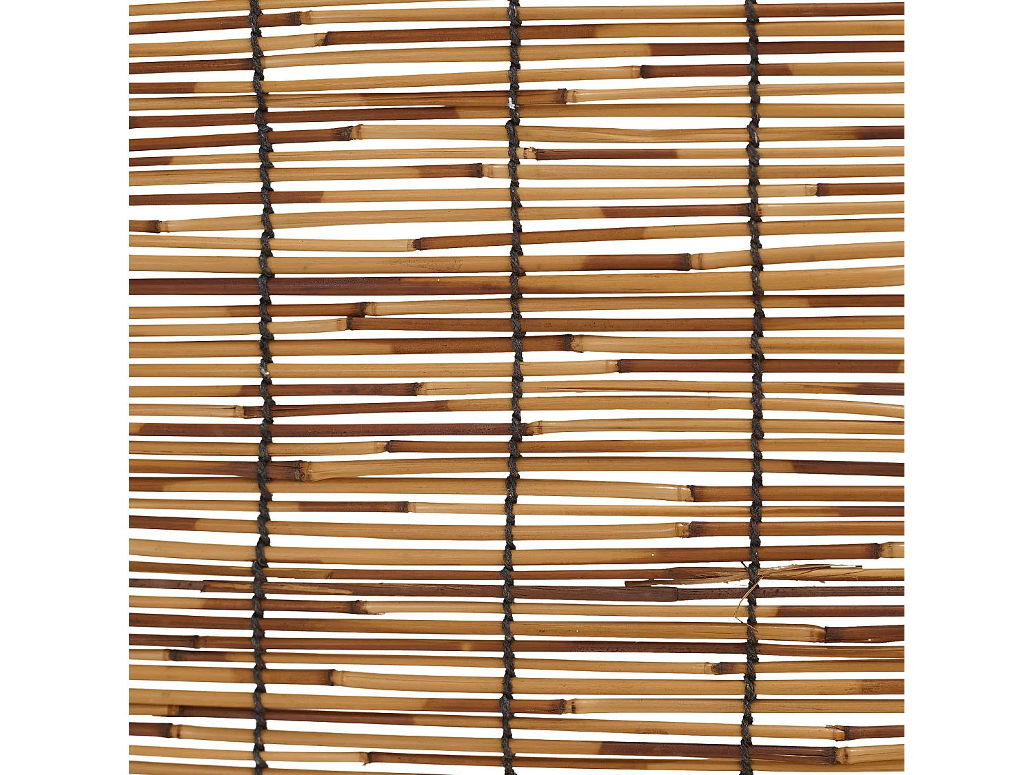 Kamerscheider 170x120x2 cm Zwarte Wilg