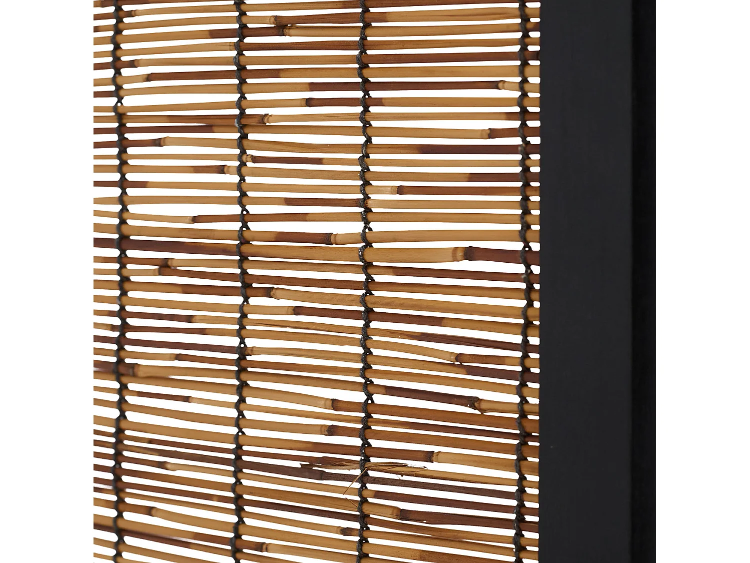 Kamerscheider 170x120x2 cm Zwarte Wilg