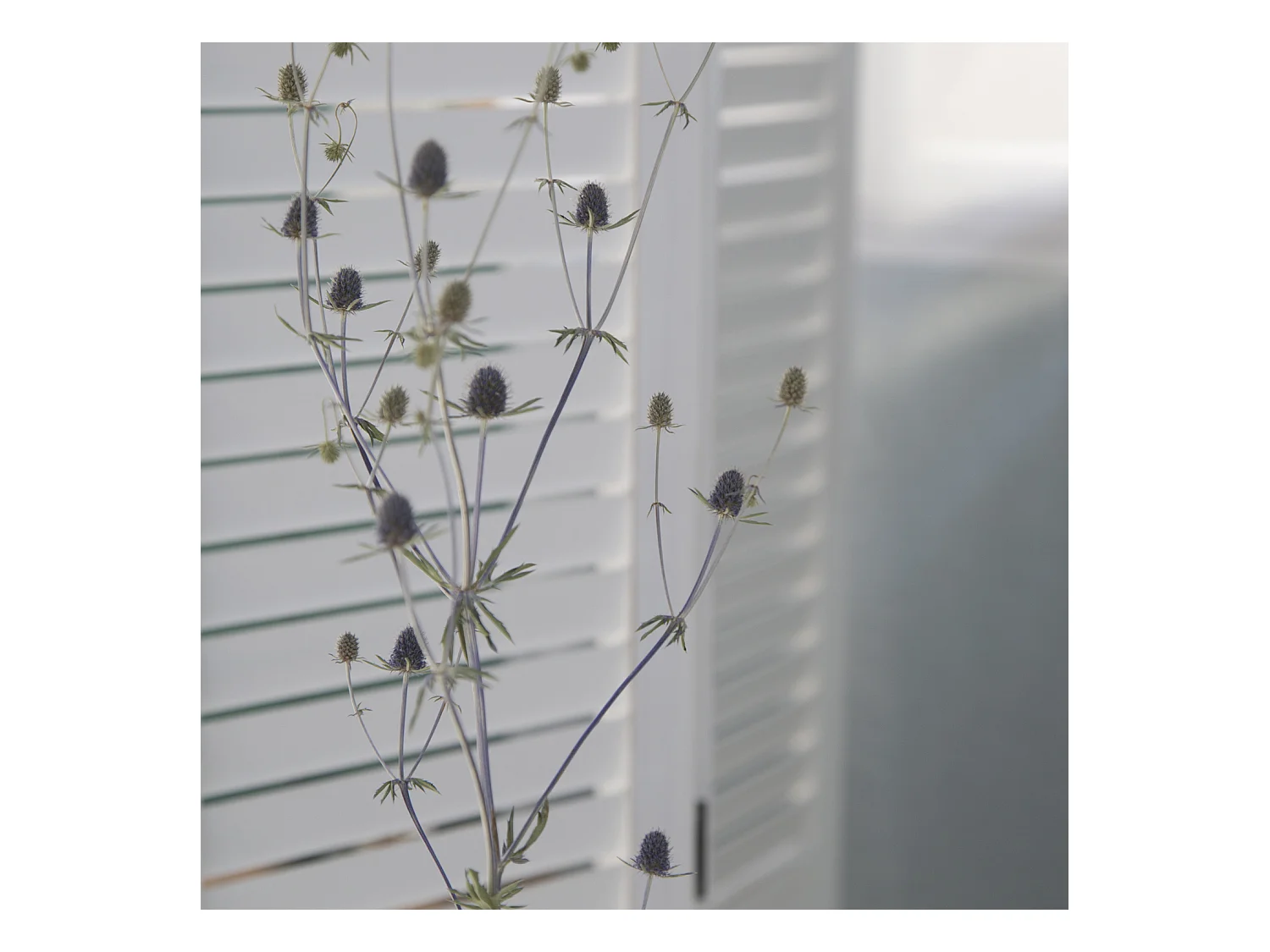 Écran 93x162x1,7 cm blanc