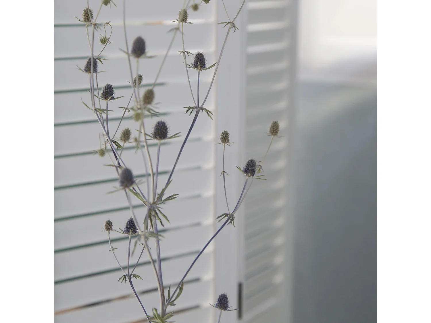 Scherm 93x162x1,7 cm wit