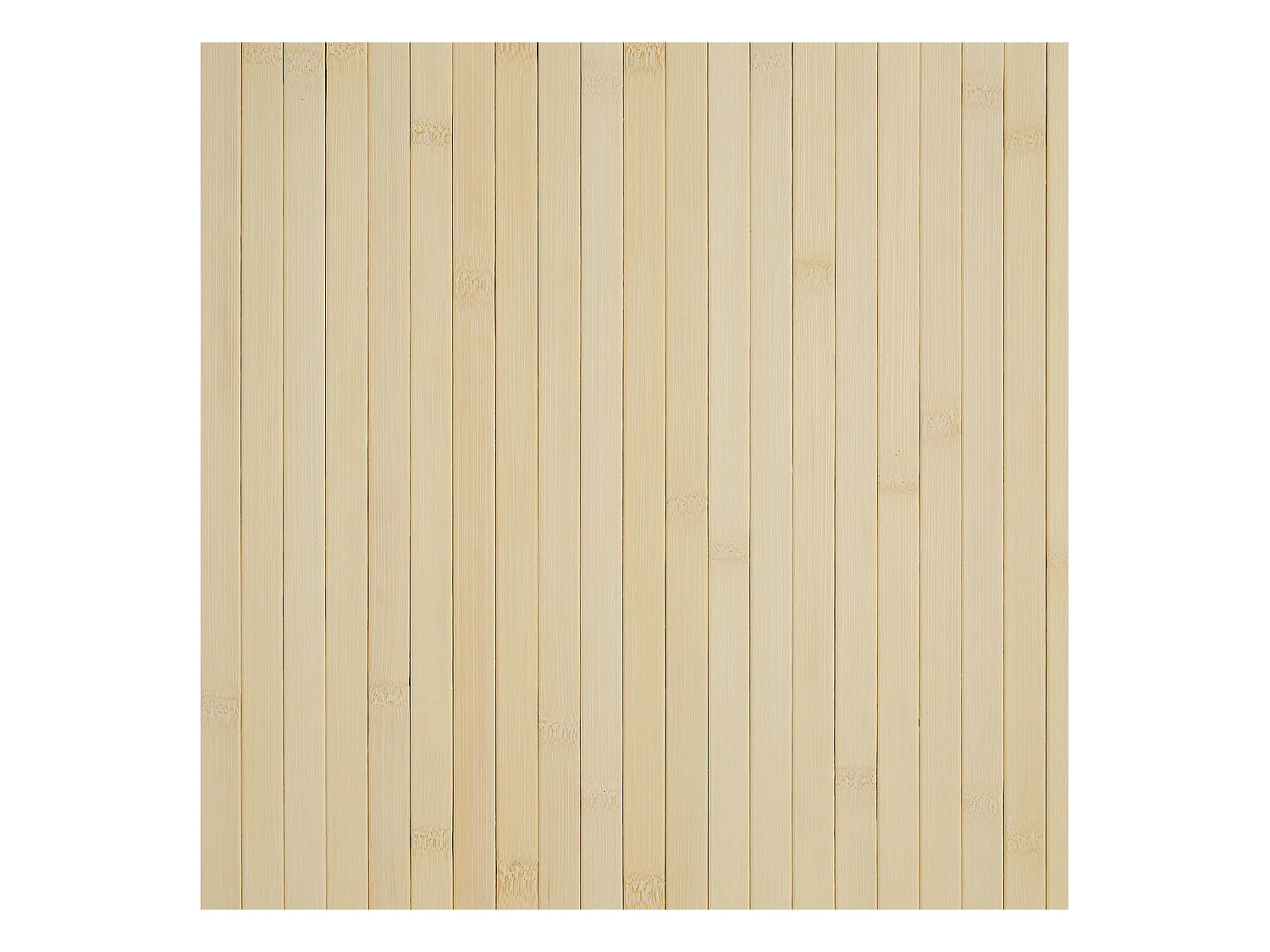 Paravent 200x250x0,3 cm naturel clair