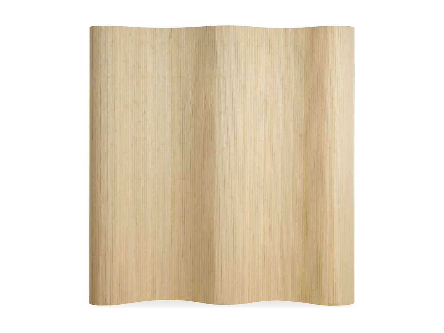 Kamerscherm 200x250x0,3 cm natuurlijk licht