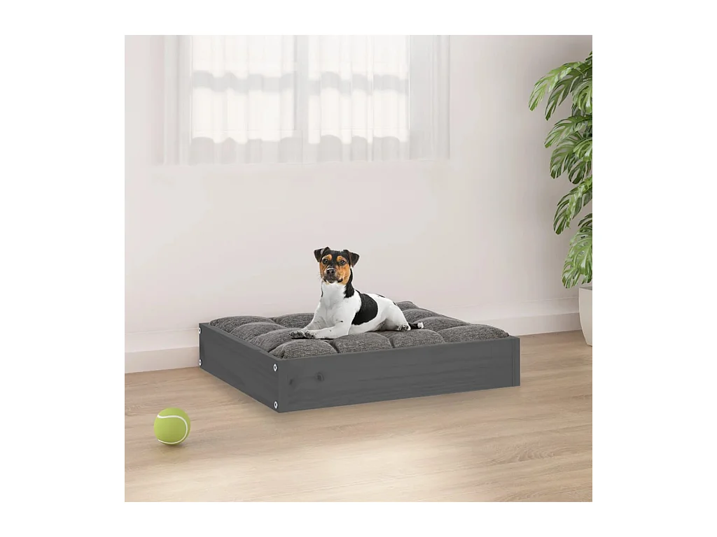 Karlee  Lit pour cen Gris 51,5x44x9 cm Bois de pin solide