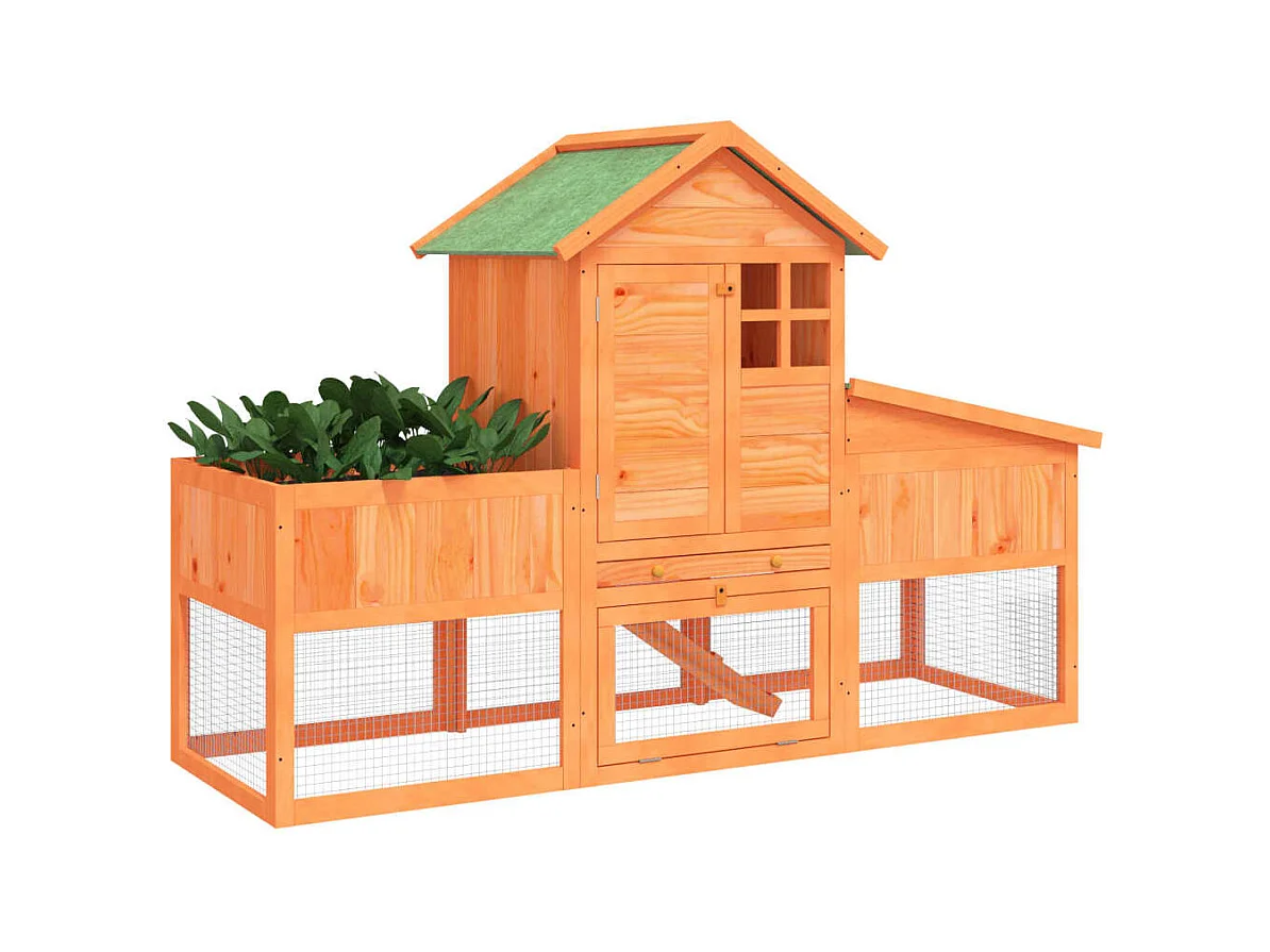 Arwin  Clapier marron 170x63x113 cm bois de pin massif