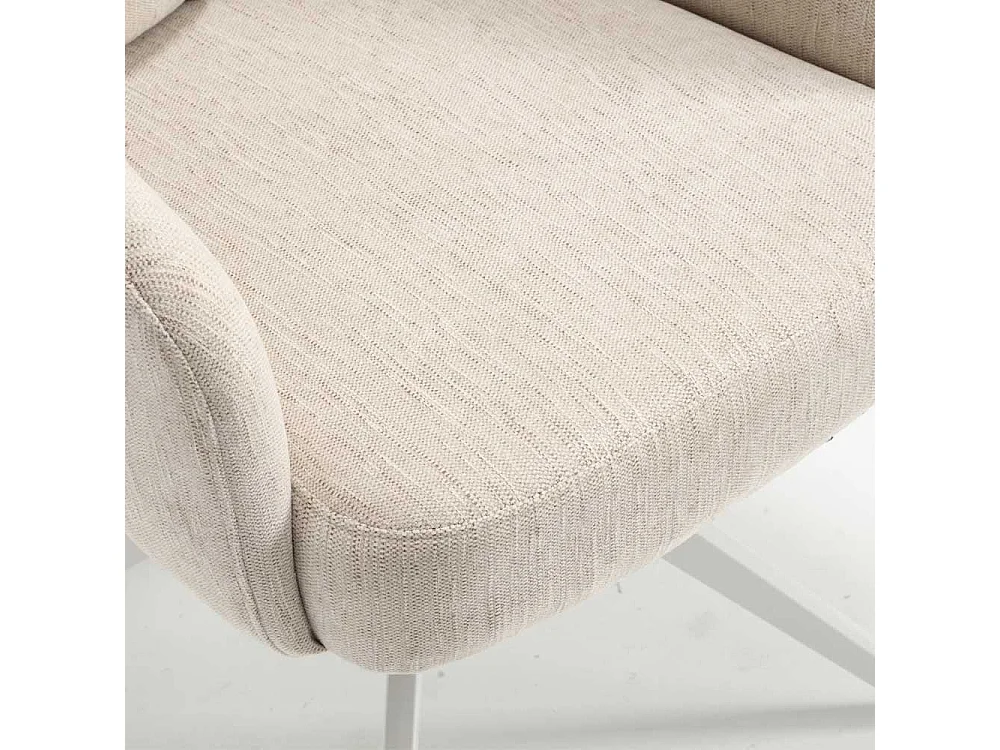 Esszimmerstuhl Stuhl Esszimmer mit Armlehnen und Gestell aus Metall (2er Set)