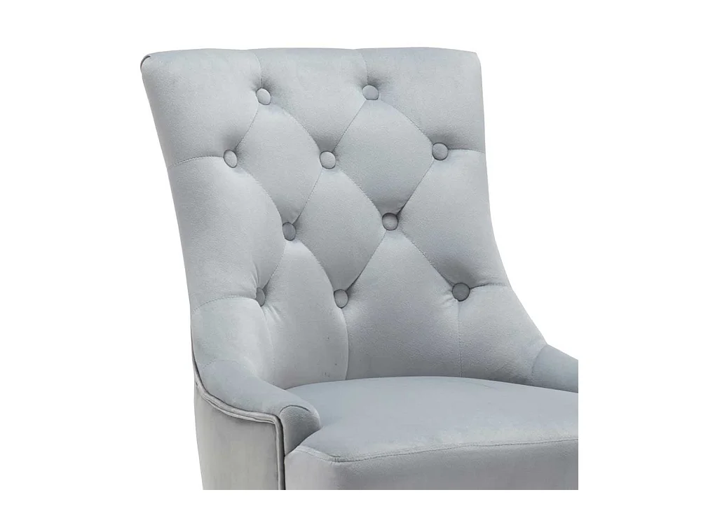 Esstisch Stühle in Hellgrau Samt Gestell aus Massivholz (2er Set)