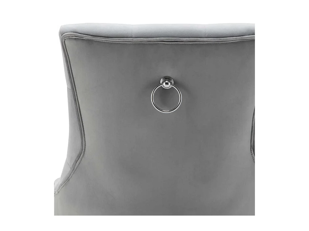 Esstisch Stühle in Hellgrau Samt Gestell aus Massivholz (2er Set)