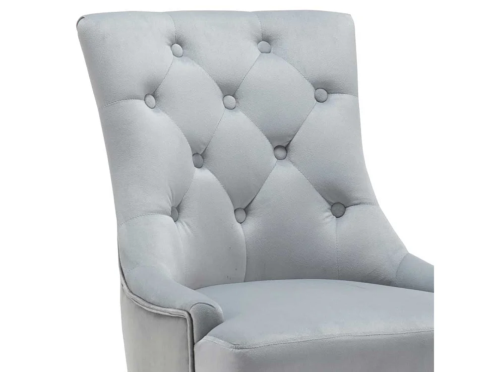 Esstisch Stühle in Hellgrau Samt Gestell aus Massivholz (2er Set)