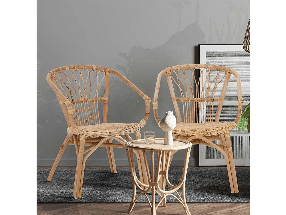 Esszimmerstühle aus Rattan Beige Armlehnen (2er Set)