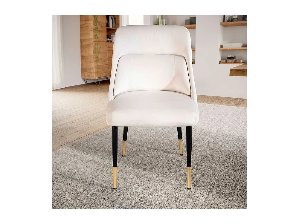 Polsterstuhl Esstischstuhl in modernem Design aus Samt