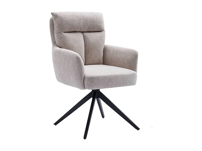 Esszimmerstuhl Stuhl Esszimmer mit Armlehnen und Gestell aus Metall (2er Set)