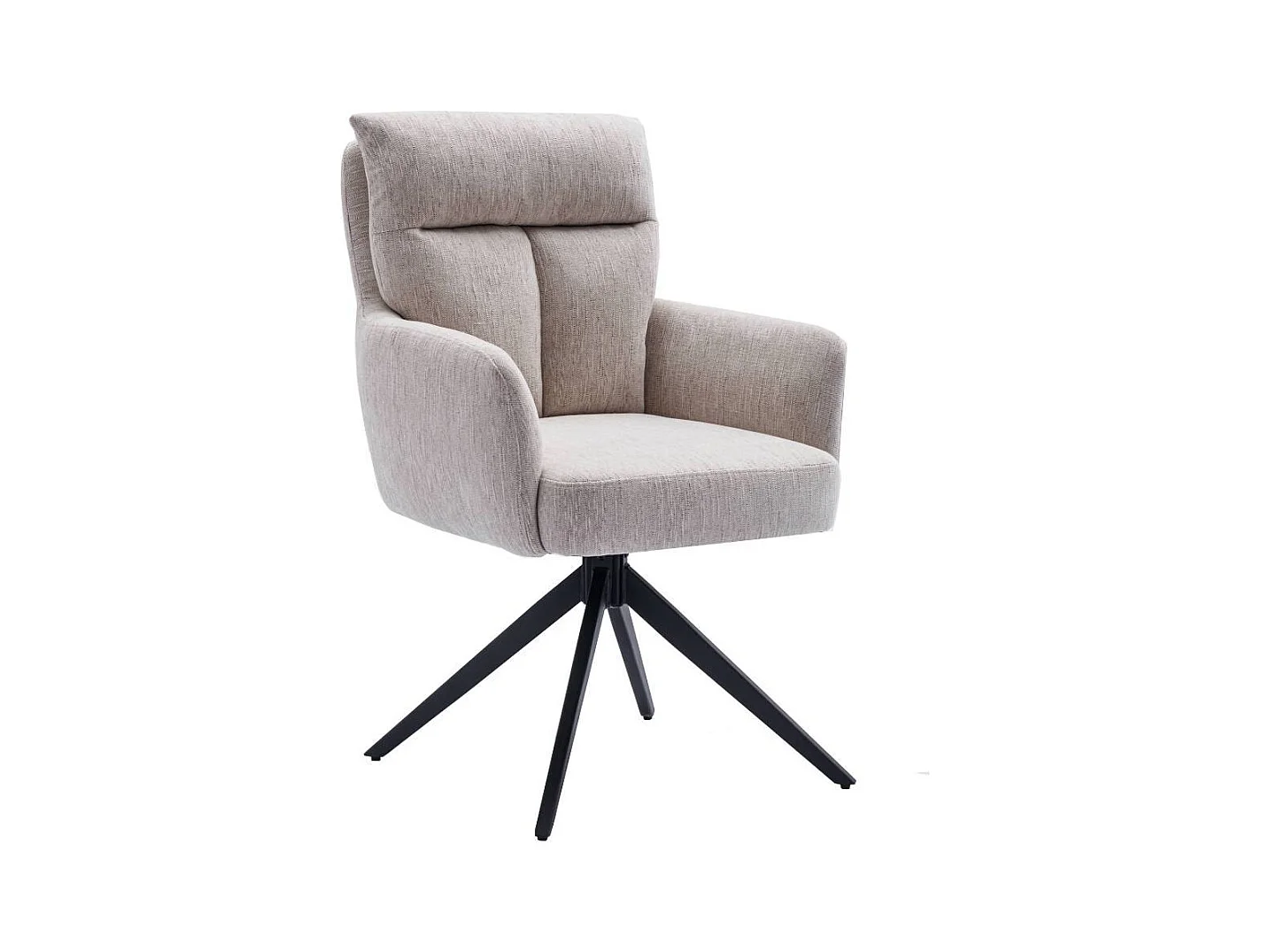 Esszimmerstuhl Stuhl Esszimmer mit Armlehnen und Gestell aus Metall (2er Set)