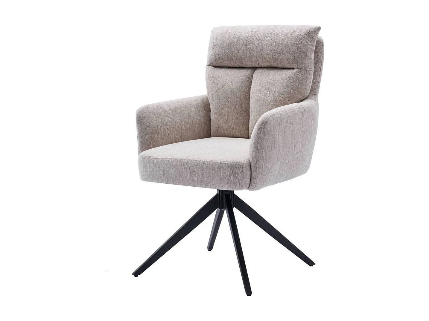 Esszimmerstuhl Stuhl Esszimmer mit Armlehnen und Gestell aus Metall (2er Set)