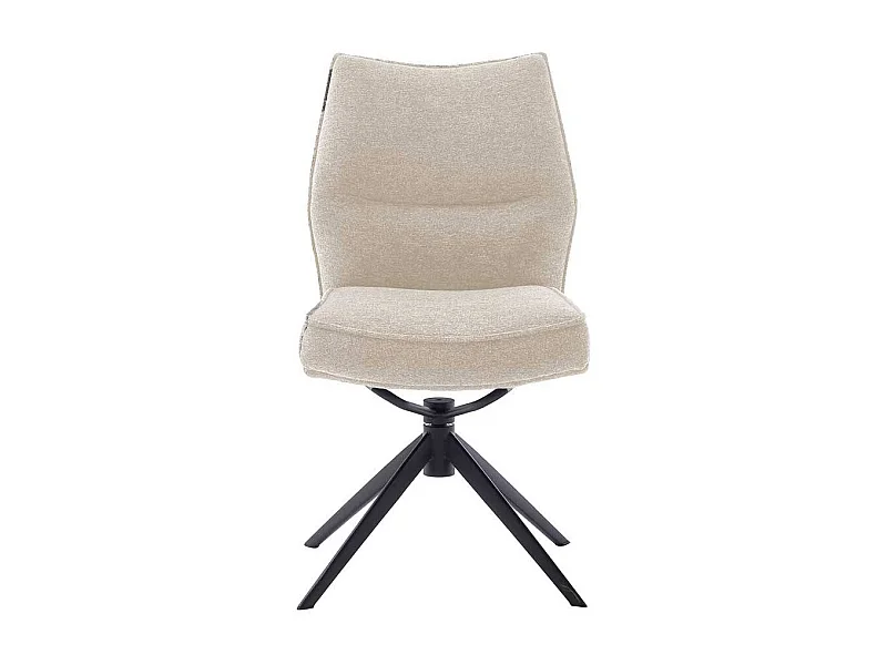 Stuhl Esszimmer Esstischstuhl mit Gestell aus Metall 49 cm breit (2er Set)