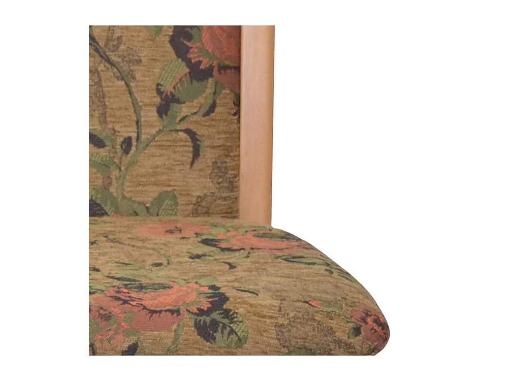 Polsterstuhl Esszimmer Buche mit Blumen Motiv Braun (2er Set)