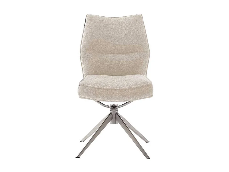 Stuhl Esszimmer Essstuhl in Edelstahlfarben und Cremeweiß (2er Set)