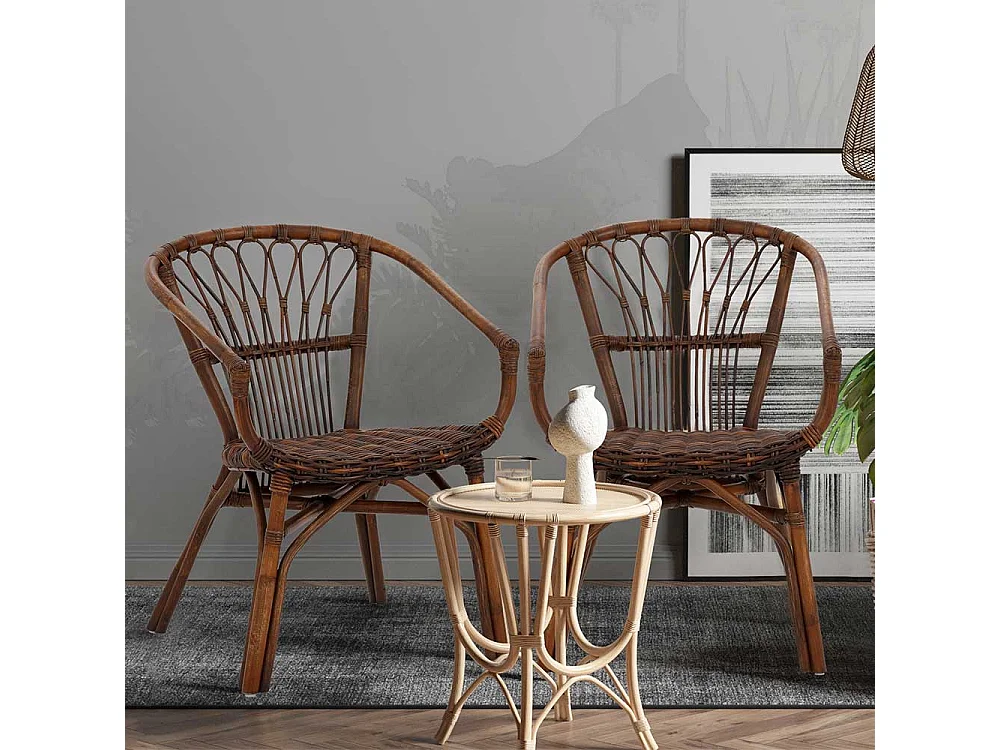 Armstühle aus Rattan Braun (2er Set)