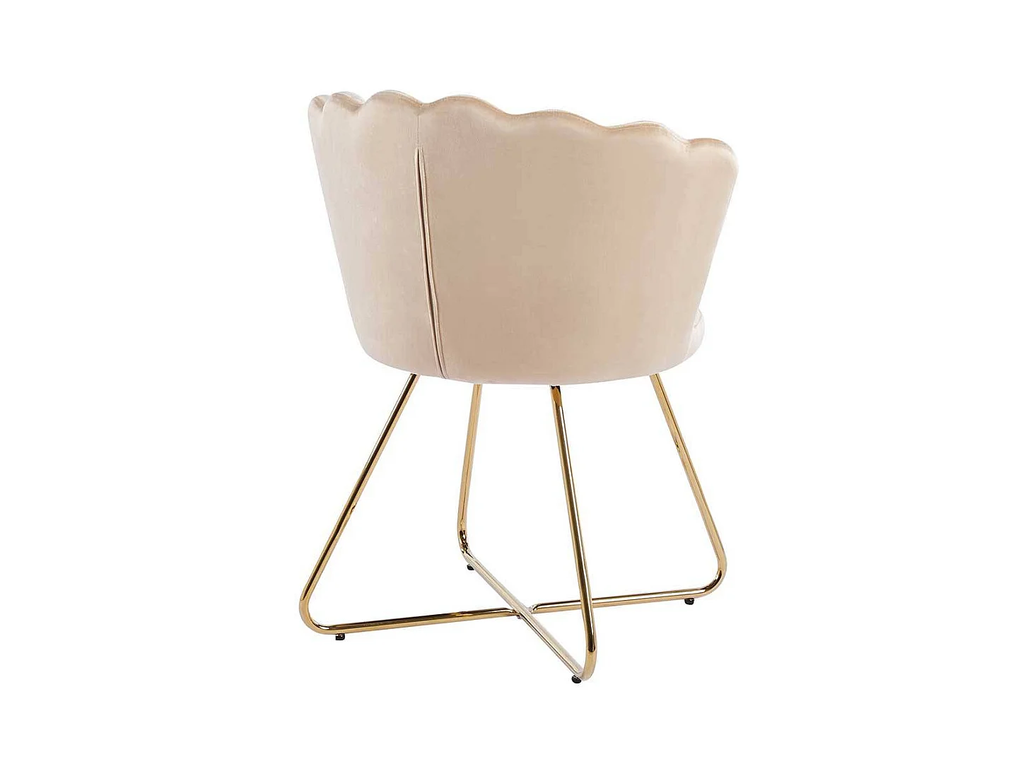 Muschelstuhl Set Beige Gold aus Samt und Metall 70 cm breit (2er Set)