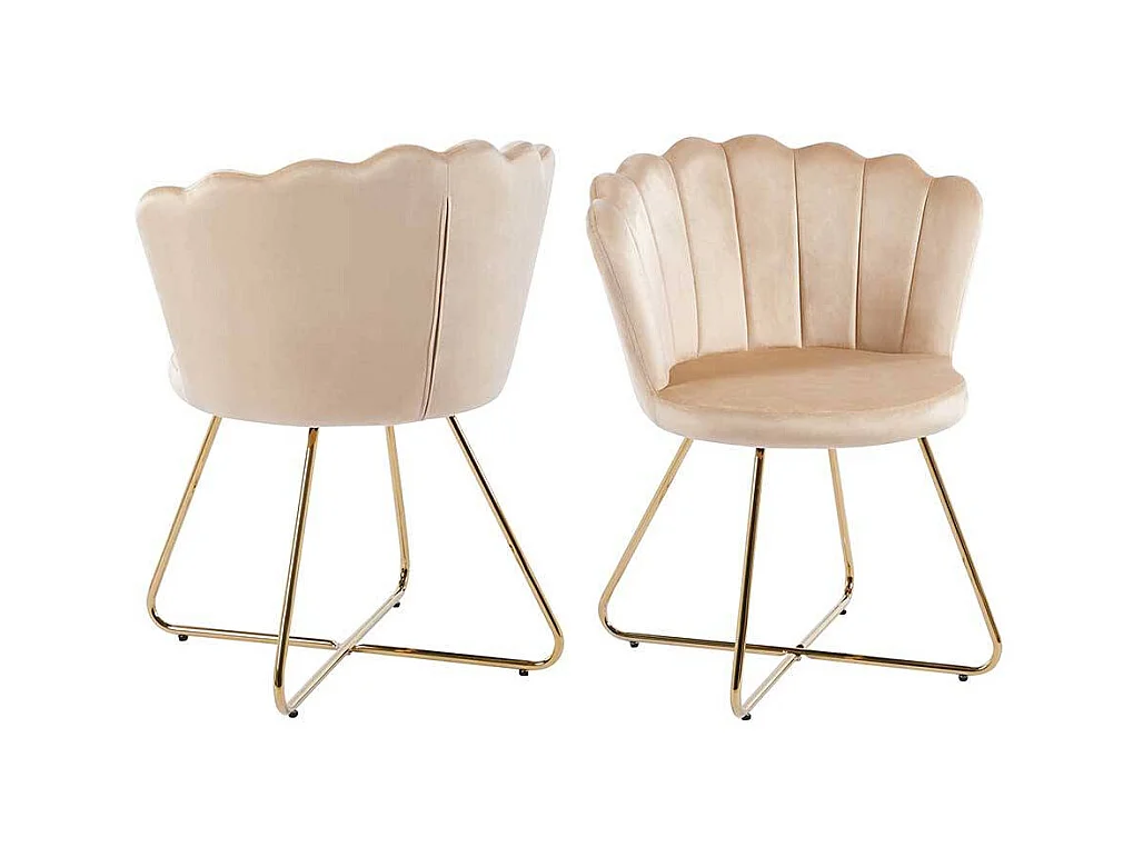Muschelstuhl Set Beige Gold aus Samt und Metall 70 cm breit (2er Set)