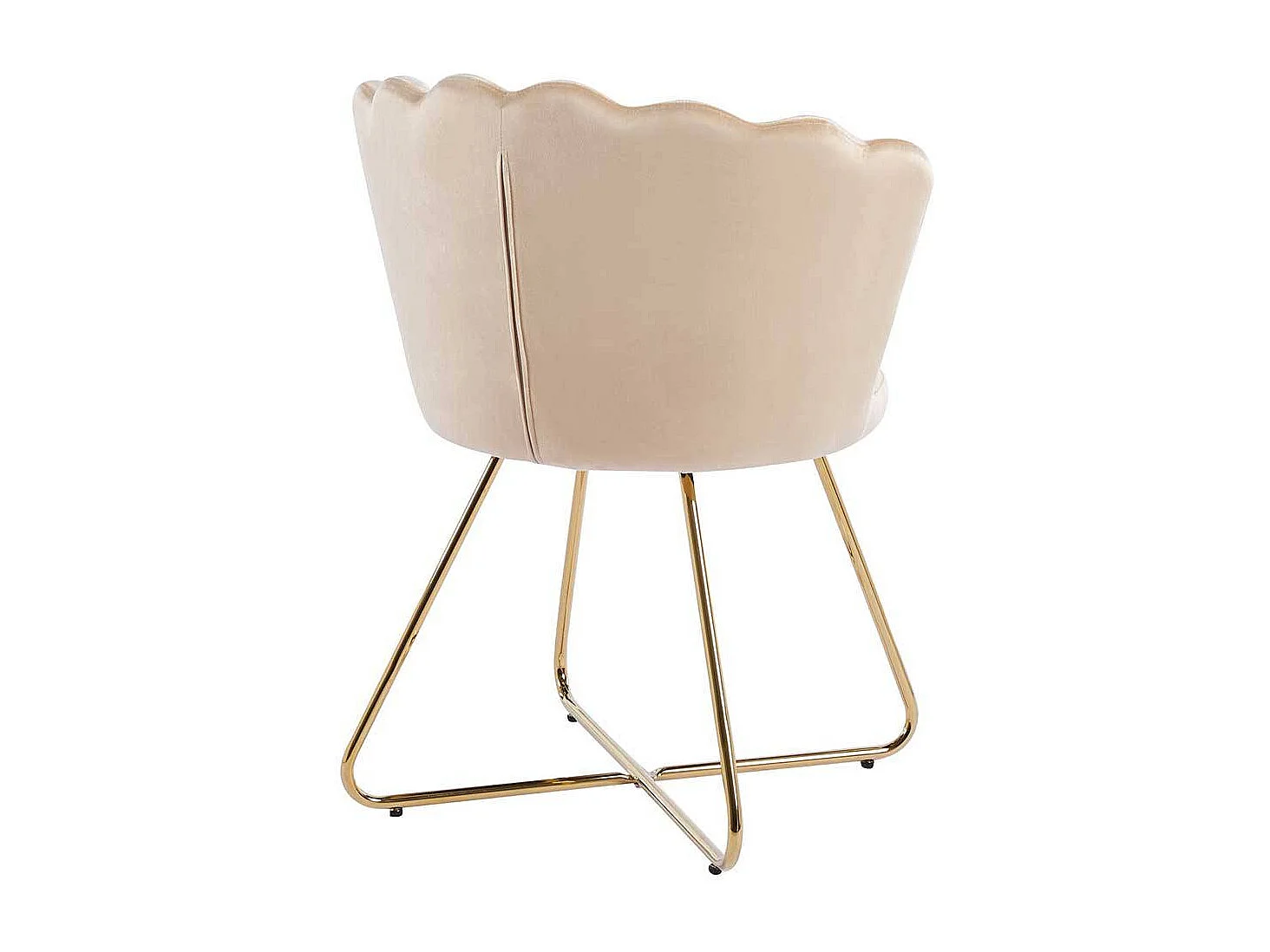 Muschelstuhl Set Beige Gold aus Samt und Metall 70 cm breit (2er Set)