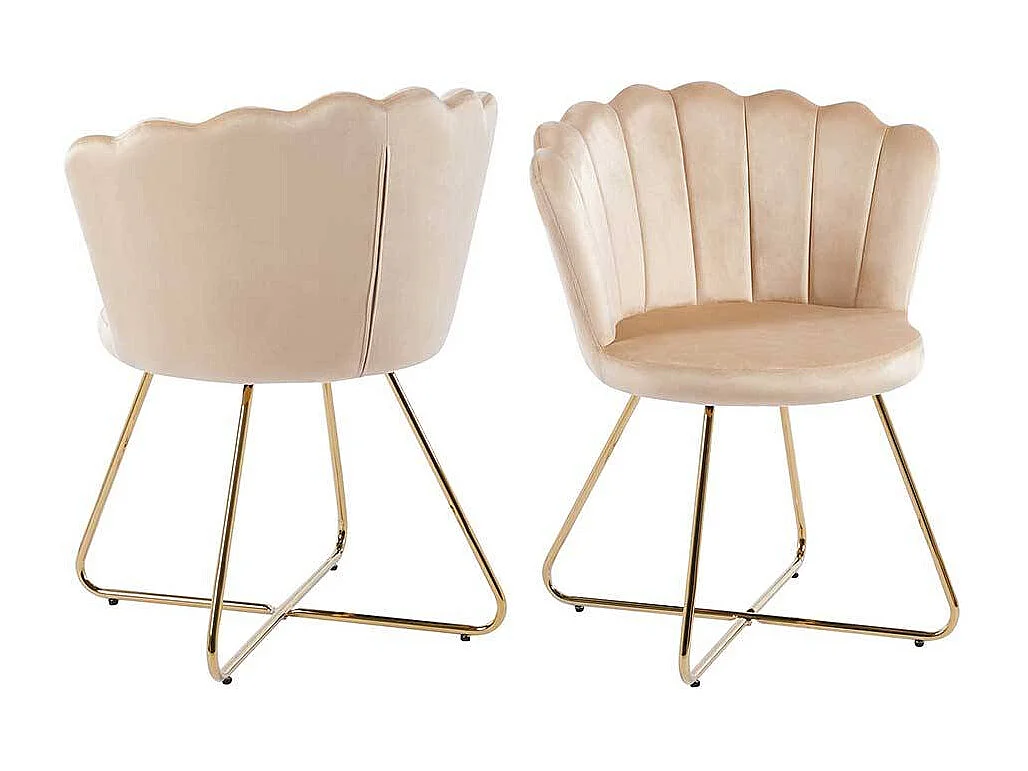 Muschelstuhl Set Beige Gold aus Samt und Metall 70 cm breit (2er Set)