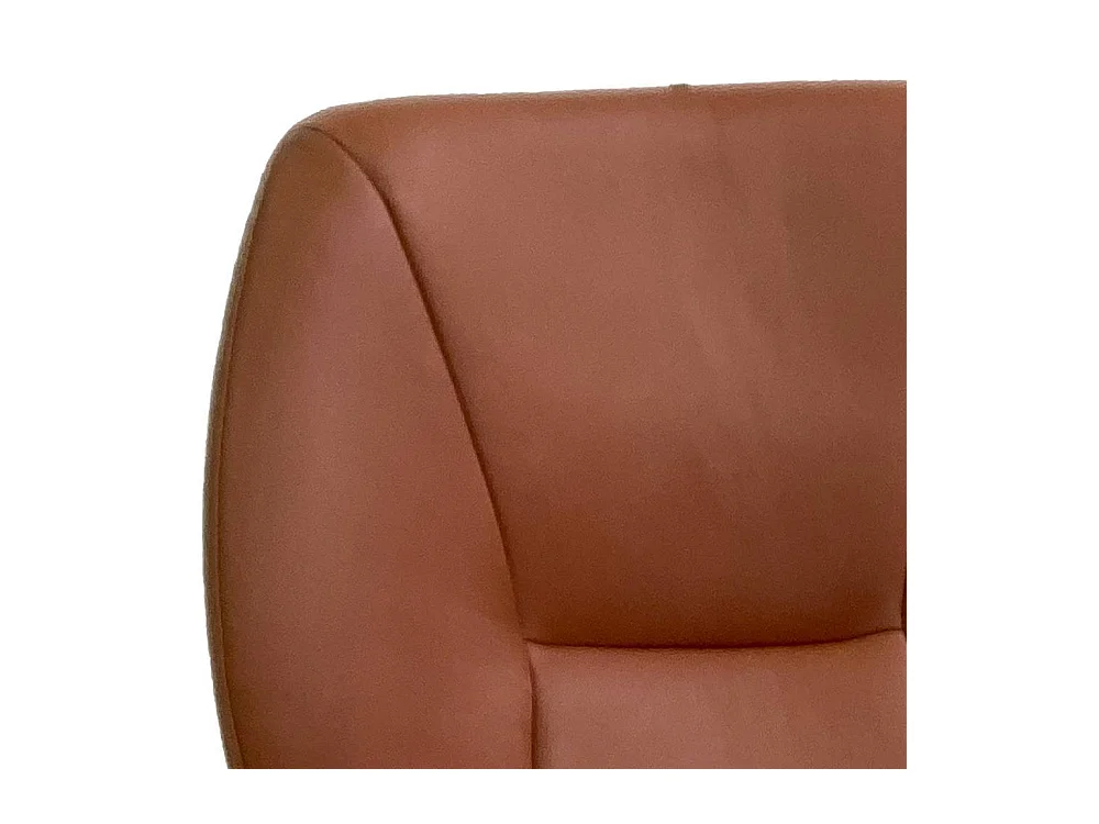 Polsterstuhl Esstischstuhl mit Armlehnen und gepolsterter Rückenlehne