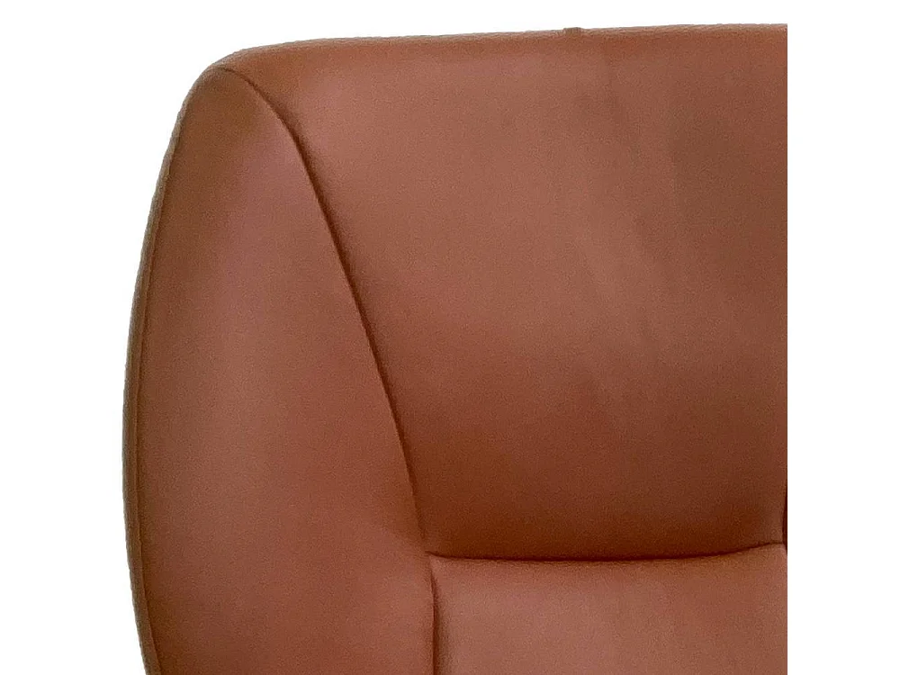 Polsterstuhl Esstischstuhl mit Armlehnen und gepolsterter Rückenlehne