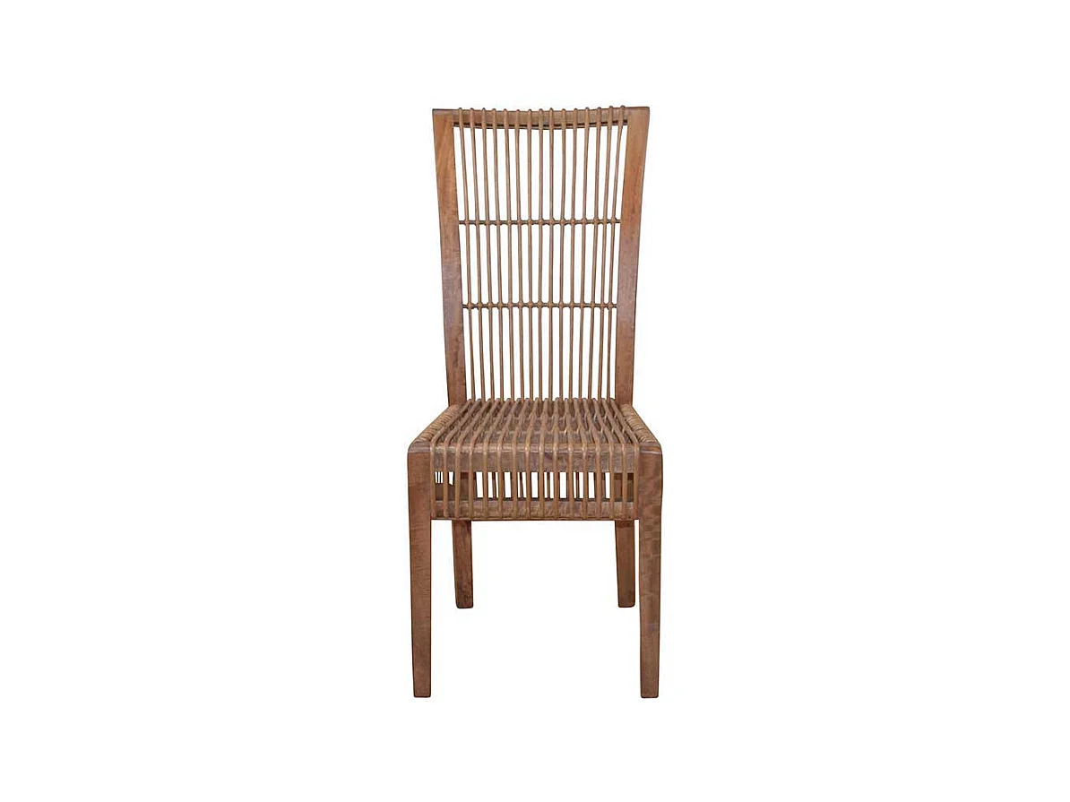 Esszimmerstuhl aus Rattan und Mangobaum Massivholz (2er Set)