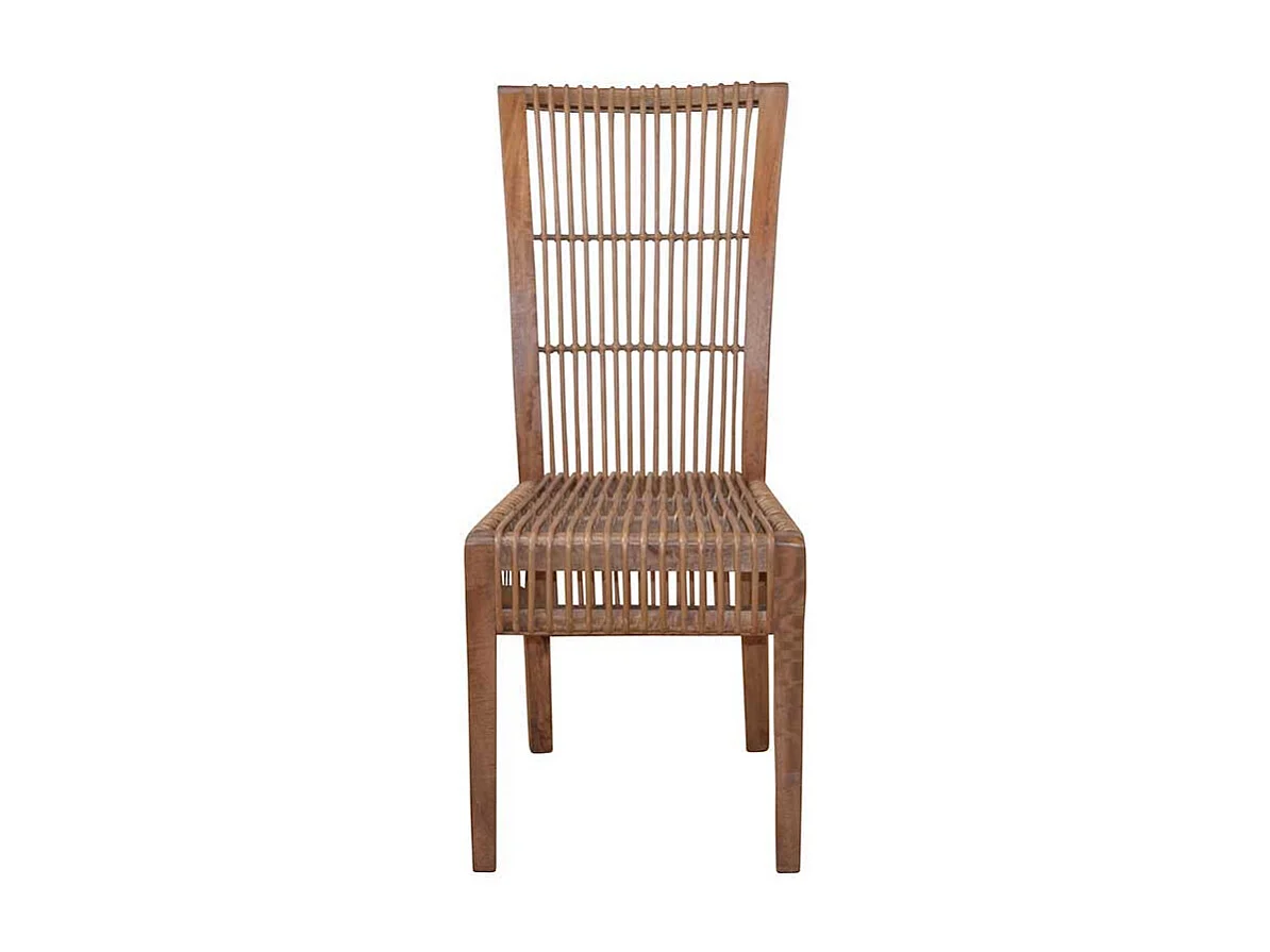 Esszimmerstuhl aus Rattan und Mangobaum Massivholz (2er Set)