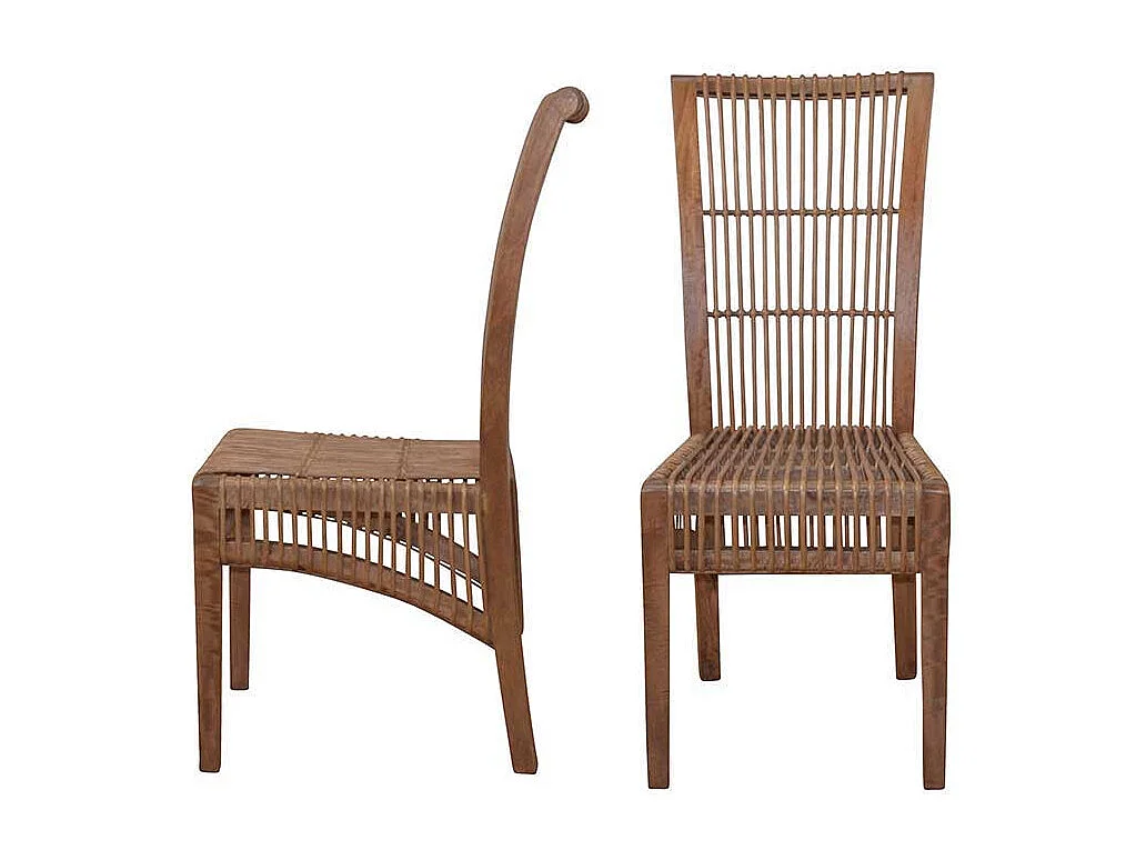 Esszimmerstuhl aus Rattan und Mangobaum Massivholz (2er Set)