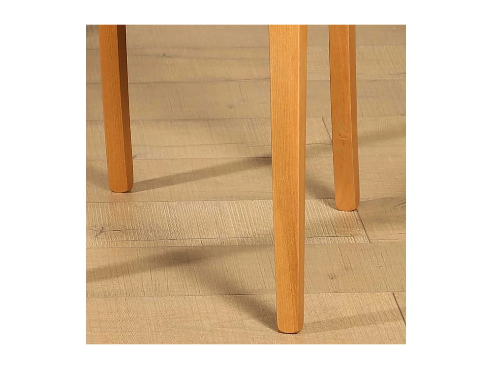 Polsterstuhl Set in Schwarz Buche massiv (2er Set)
