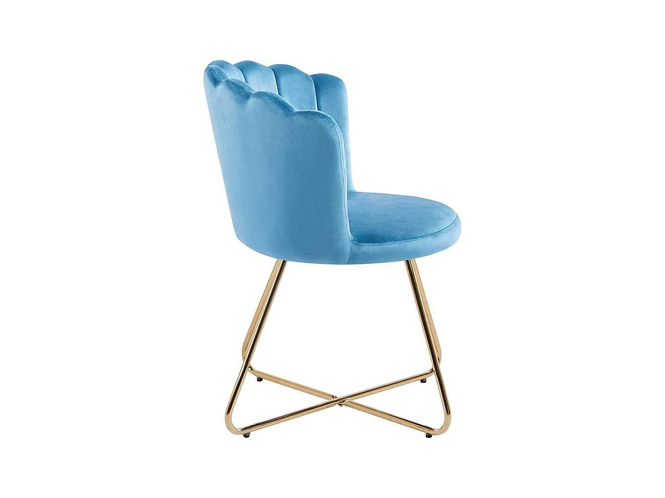 Samt Stuhl Set Muschelform in Blau und Gold 70 cm breit (2er Set)