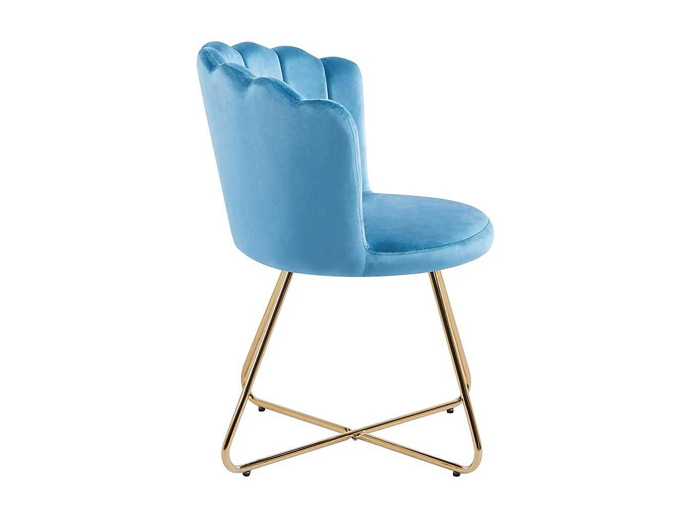 Samt Stuhl Set Muschelform in Blau und Gold 70 cm breit (2er Set)