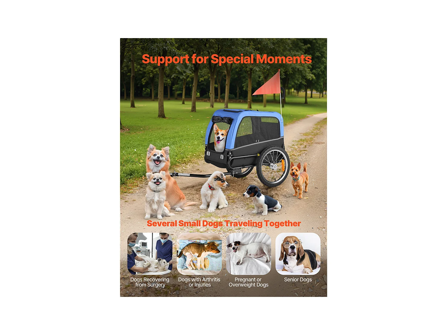 Remorque vélo SucceBuy pour Chien, Charge 30 kg, Porte Animaux de Compagnie de Vélos, Cadre Pliable Facile avec Roue à Dégagement Rapide, Réflecteur