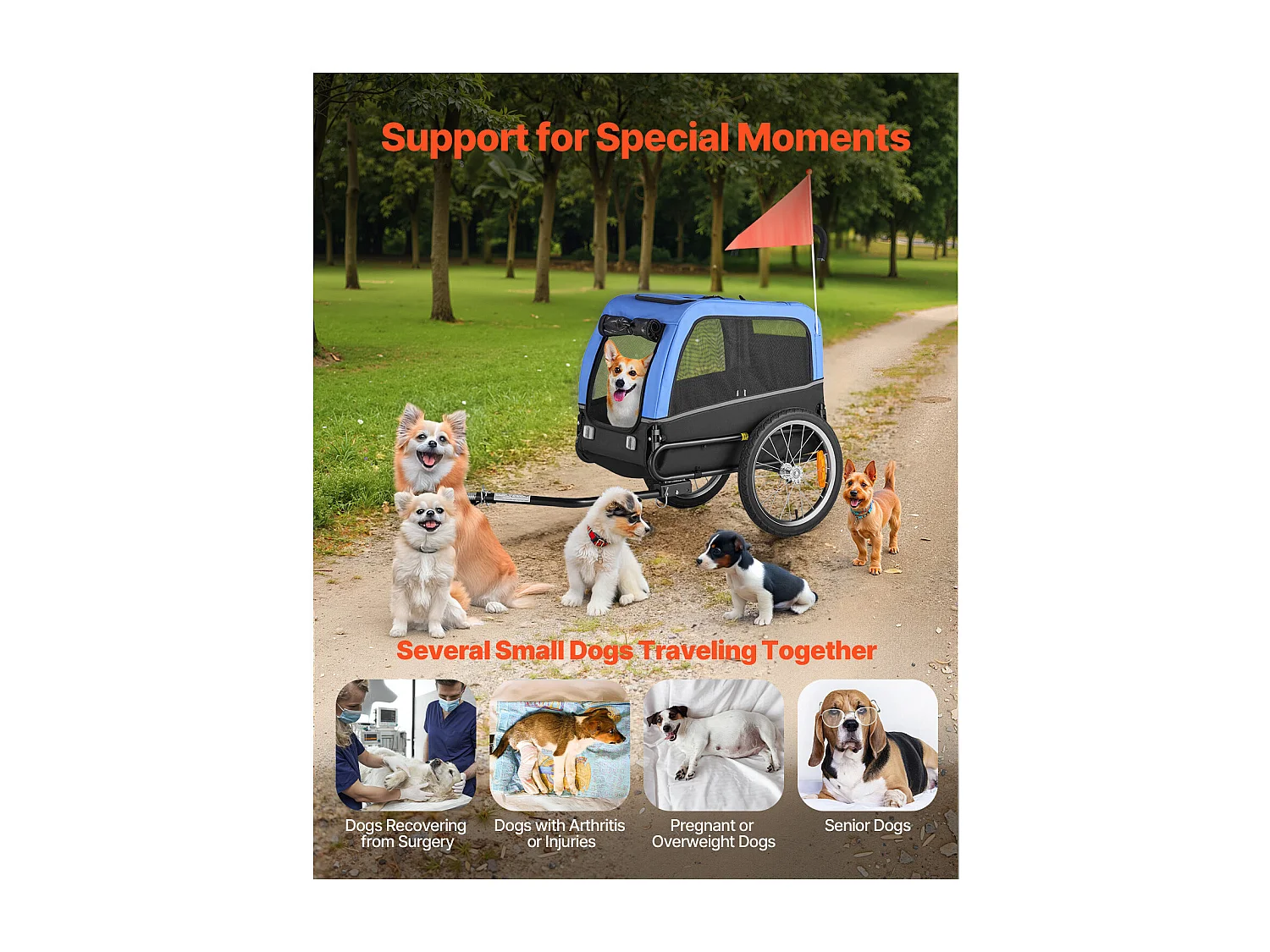 Reboque bicicleta SucceBuy para Cão, Carga 30 kg, Porta Animais de Estimação de Bicicletas, Quadro Dobrável Fácil com Roda a Liberação Rápida, Refletor