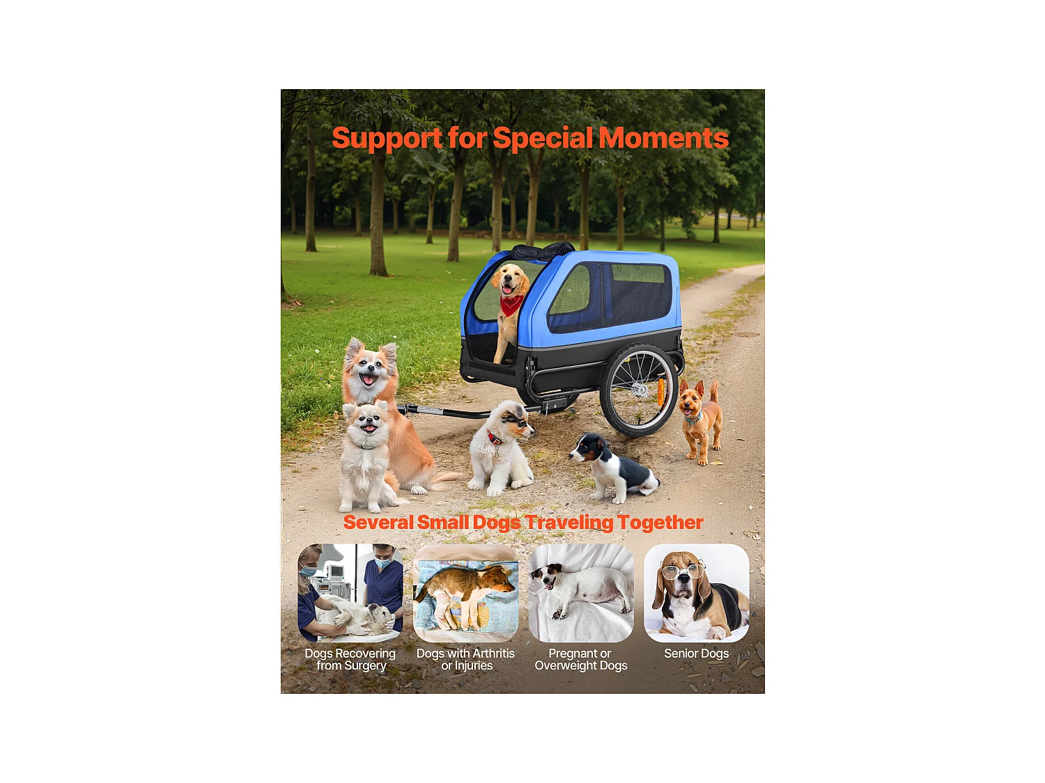 Remorque vélo SucceBuy pour Chien, Charge 40 kg, Porte Animaux de Compagnie de Vélos, Cadre Pliable Facile avec Roue à Dégagement Rapide, Réflecteur