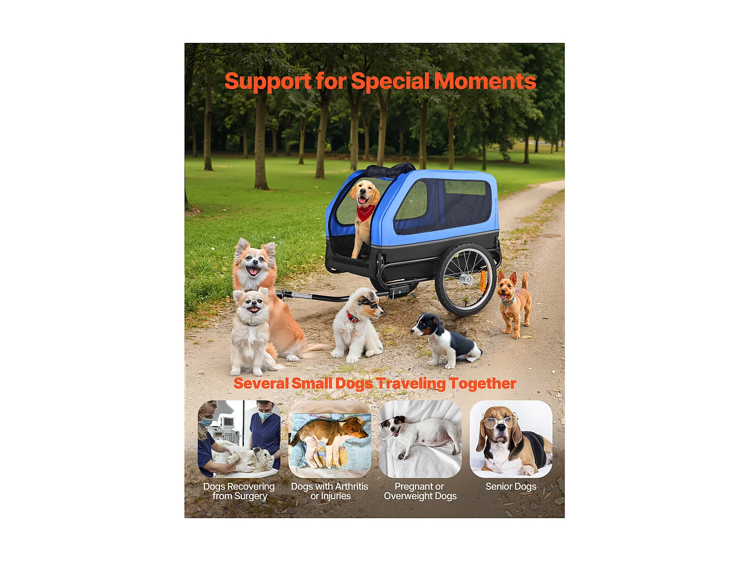 Remorque vélo SucceBuy pour Chien, Charge 40 kg, Porte Animaux de Compagnie de Vélos, Cadre Pliable Facile avec Roue à Dégagement Rapide, Réflecteur