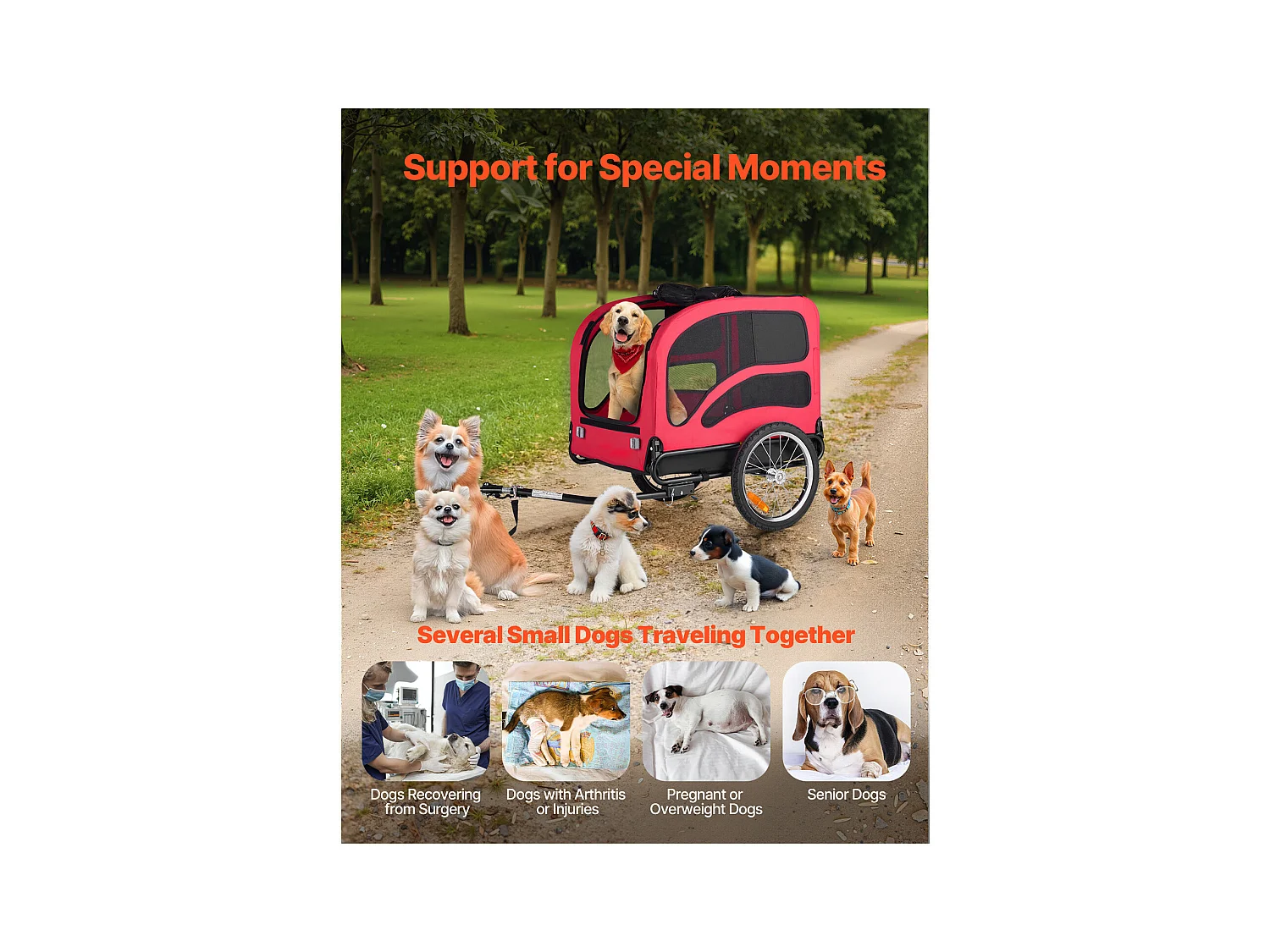 Remorque vélo SucceBuy pour Chien, Charge 45 kg, Porte Animaux de Compagnie de Vélos, Cadre Pliable Facile avec Roue à Dégagement Rapide, Réflecteur