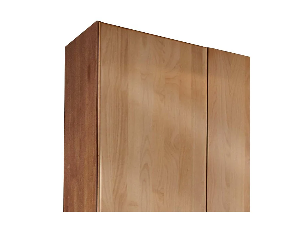 Drehtürschrank Drehtürenkleiderschrank 246 cm breit 236 cm hoch